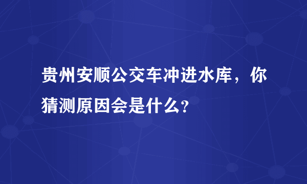 贵州安顺公交车冲进水库，你猜测原因会是什么？