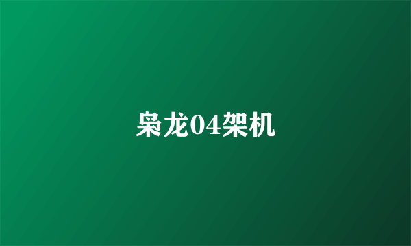 枭龙04架机