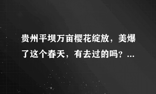 贵州平坝万亩樱花绽放，美爆了这个春天，有去过的吗？有旅游攻略路线吗？