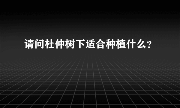 请问杜仲树下适合种植什么？