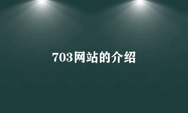 703网站的介绍