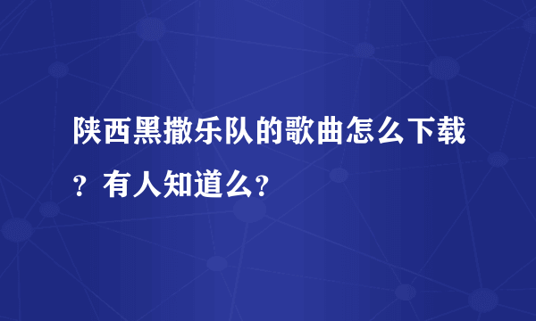 陕西黑撒乐队的歌曲怎么下载？有人知道么？