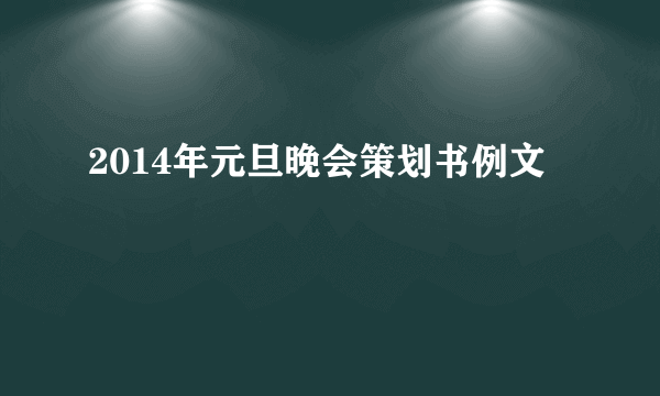 2014年元旦晚会策划书例文