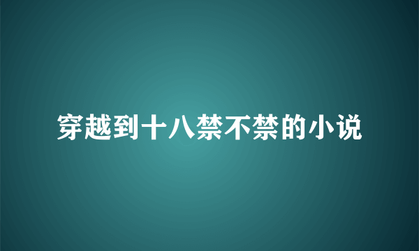 穿越到十八禁不禁的小说