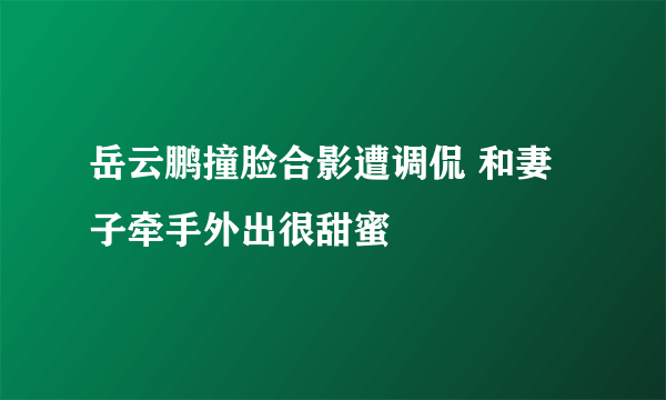 岳云鹏撞脸合影遭调侃 和妻子牵手外出很甜蜜