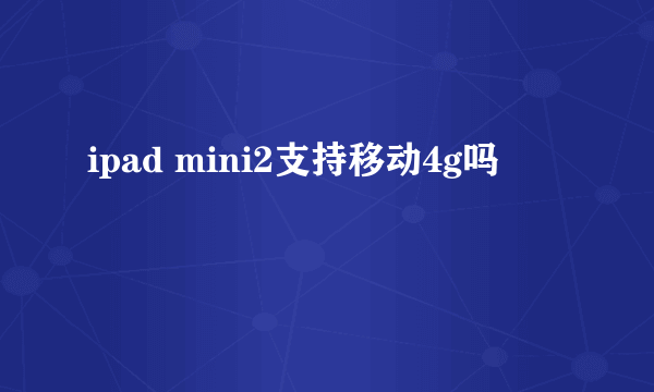 ipad mini2支持移动4g吗