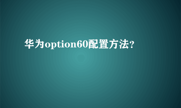 华为option60配置方法？