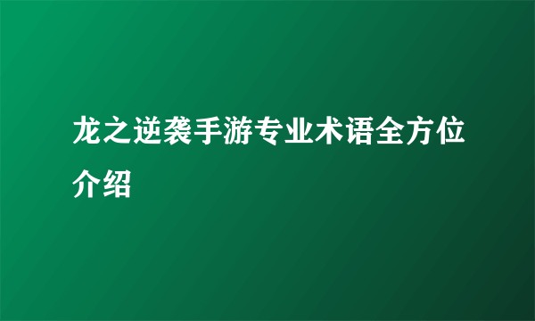 龙之逆袭手游专业术语全方位介绍