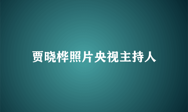 贾晓桦照片央视主持人