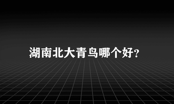 湖南北大青鸟哪个好？