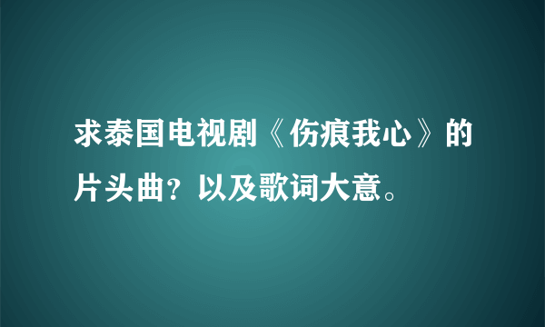 求泰国电视剧《伤痕我心》的片头曲？以及歌词大意。