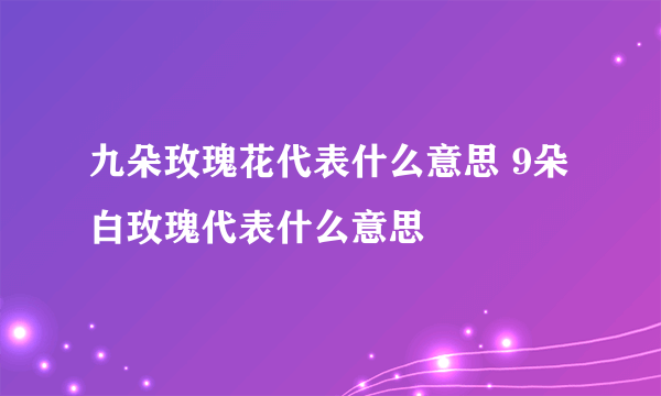 九朵玫瑰花代表什么意思 9朵白玫瑰代表什么意思