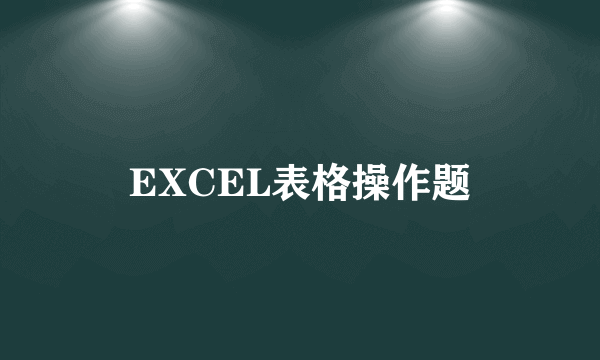 EXCEL表格操作题