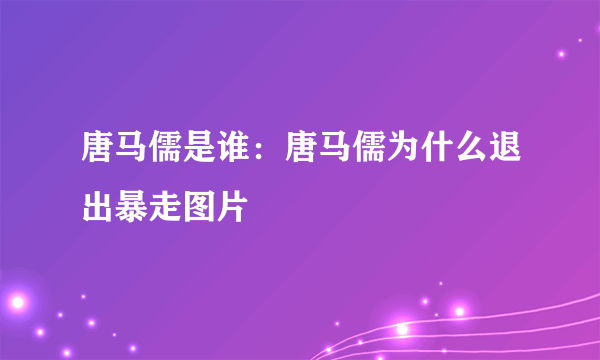 唐马儒是谁：唐马儒为什么退出暴走图片