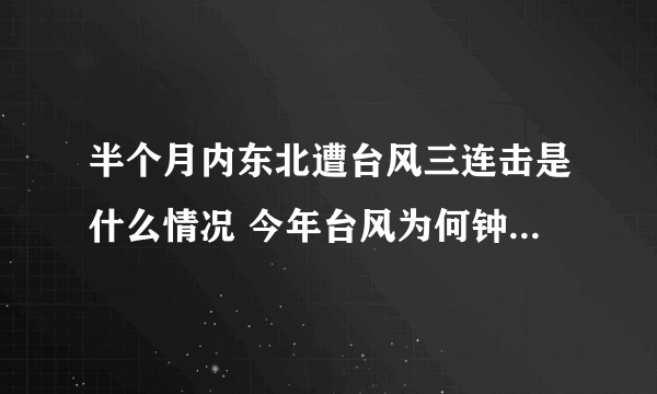 半个月内东北遭台风三连击是什么情况 今年台风为何钟情东北地区