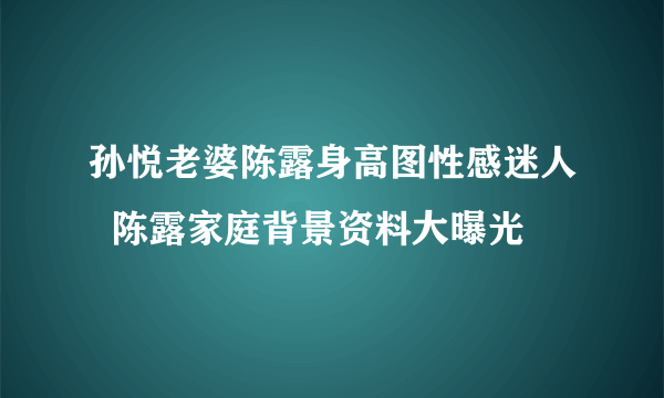 孙悦老婆陈露身高图性感迷人  陈露家庭背景资料大曝光