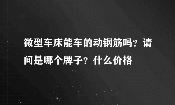 微型车床能车的动钢筋吗？请问是哪个牌子？什么价格