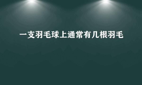 一支羽毛球上通常有几根羽毛