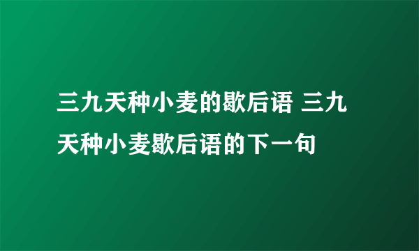 三九天种小麦的歇后语 三九天种小麦歇后语的下一句