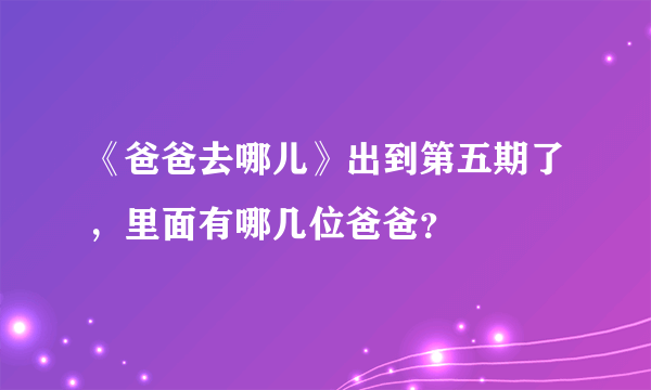 《爸爸去哪儿》出到第五期了，里面有哪几位爸爸？