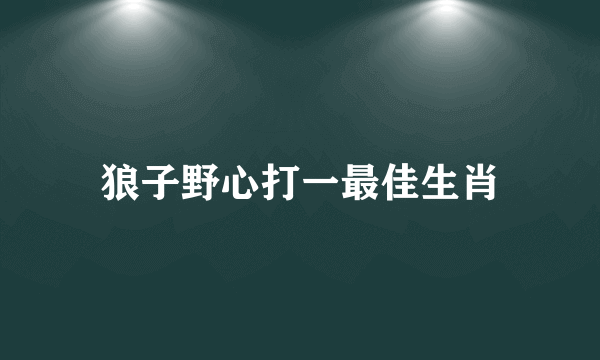 狼子野心打一最佳生肖