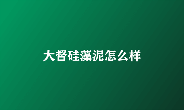 大督硅藻泥怎么样