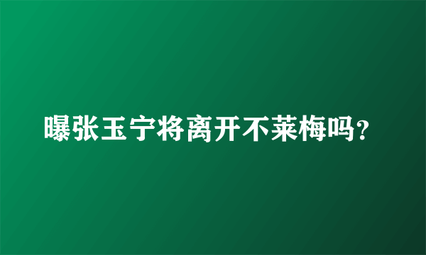 曝张玉宁将离开不莱梅吗？