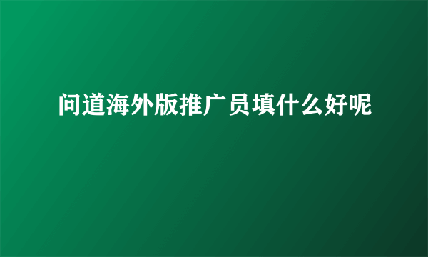 问道海外版推广员填什么好呢