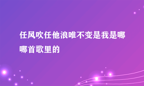 任风吹任他浪唯不变是我是哪哪首歌里的