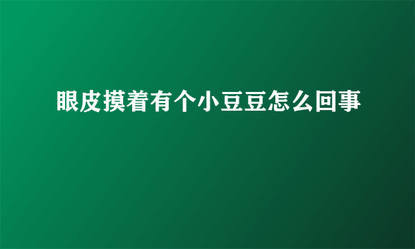 眼皮摸着有个小豆豆怎么回事