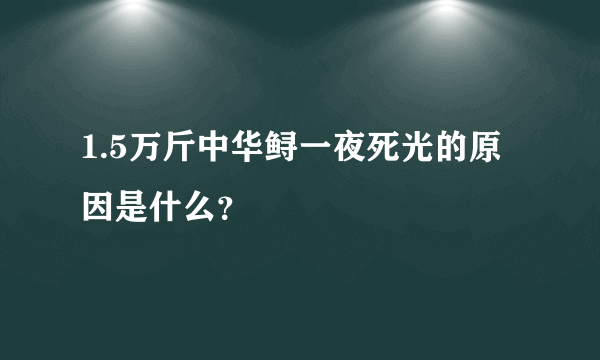 1.5万斤中华鲟一夜死光的原因是什么？