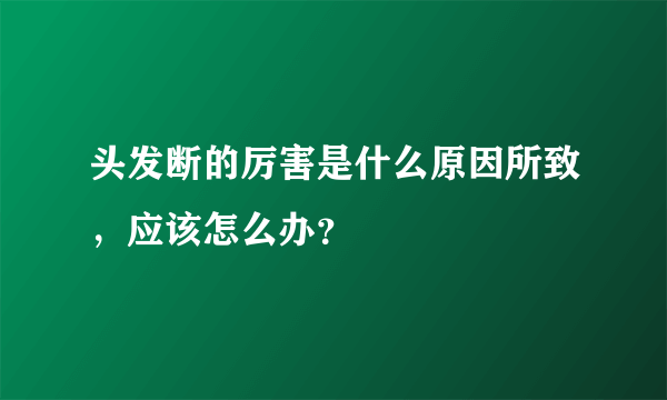 头发断的厉害是什么原因所致，应该怎么办？