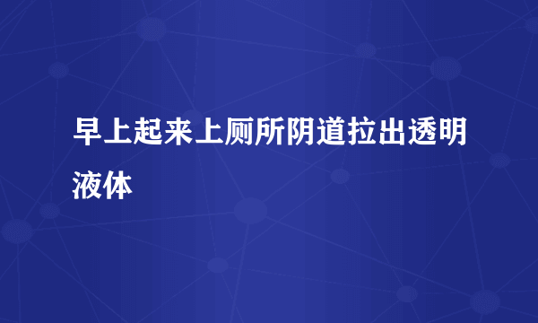 早上起来上厕所阴道拉出透明液体