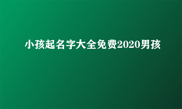 小孩起名字大全免费2020男孩