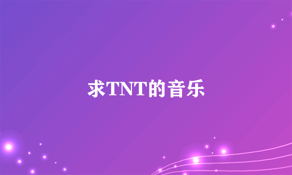 求TNT的音乐