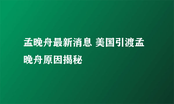 孟晚舟最新消息 美国引渡孟晚舟原因揭秘