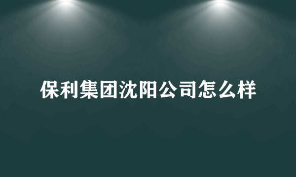 保利集团沈阳公司怎么样