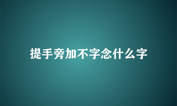 提手旁加不字念什么字