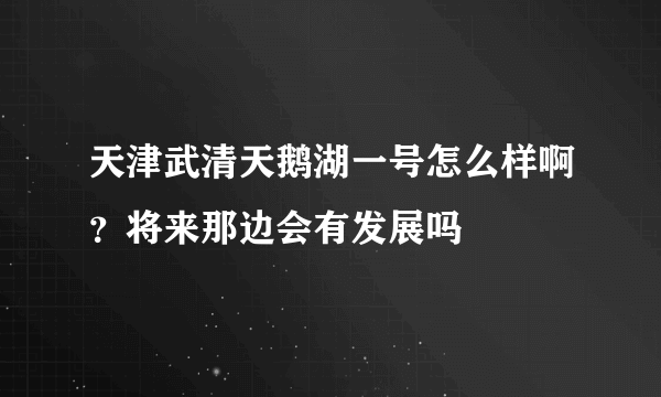 天津武清天鹅湖一号怎么样啊？将来那边会有发展吗