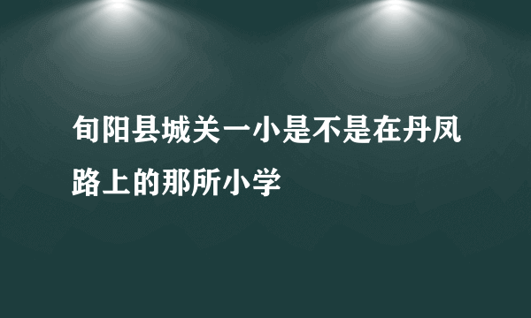 旬阳县城关一小是不是在丹凤路上的那所小学