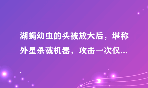 湖蝇幼虫的头被放大后，堪称外星杀戮机器，攻击一次仅需14毫秒