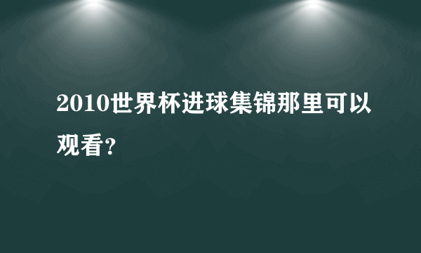 2010世界杯进球集锦那里可以观看？