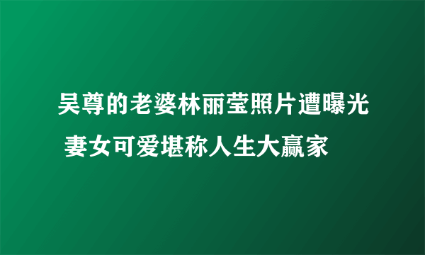 吴尊的老婆林丽莹照片遭曝光 妻女可爱堪称人生大赢家