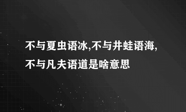 不与夏虫语冰,不与井蛙语海,不与凡夫语道是啥意思