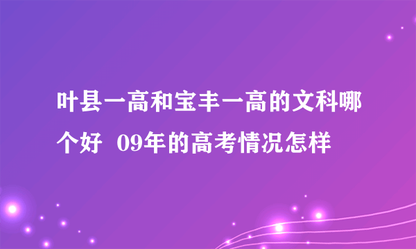 叶县一高和宝丰一高的文科哪个好  09年的高考情况怎样