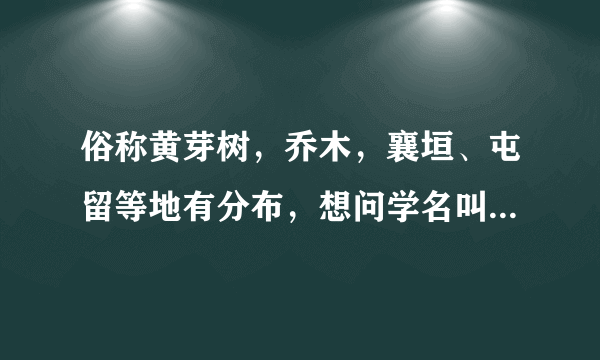 俗称黄芽树，乔木，襄垣、屯留等地有分布，想问学名叫什么，及其相关资料？