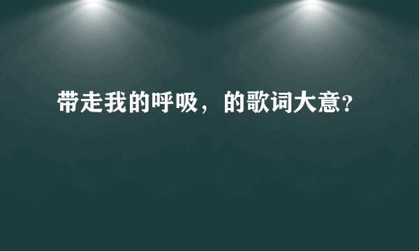 带走我的呼吸，的歌词大意？