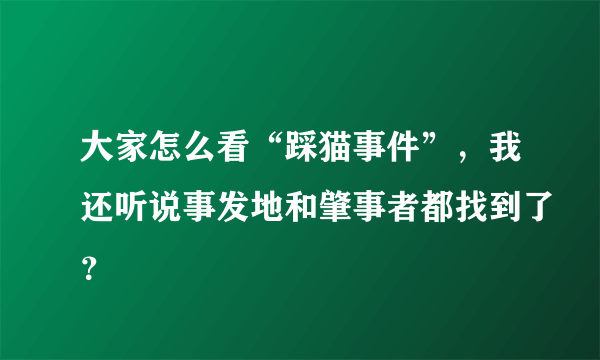 大家怎么看“踩猫事件”，我还听说事发地和肇事者都找到了？