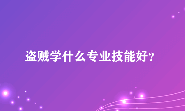 盗贼学什么专业技能好？