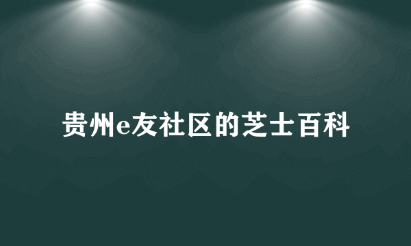 贵州e友社区的芝士百科